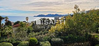  Appartement � vendre 3 pi�ces 39 m�