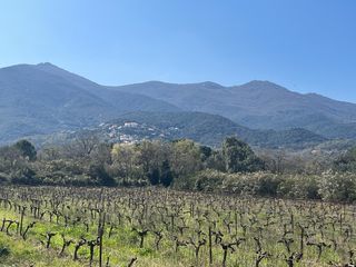  Terrain � vendre 5000 m�