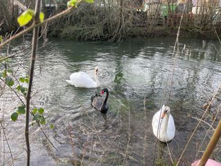  Maison � vendre 9 pi�ces 300 m�