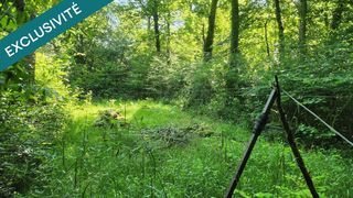  Terrain � vendre 61610 m�