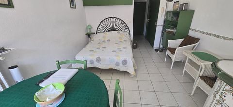   Studio vue montagne Appartement - 1 pi�ce(s) - 23 m�