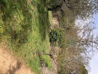  Terrain � vendre 4200 m�