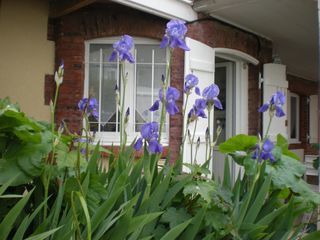  Appartement � vendre 2 pi�ces 25 m�