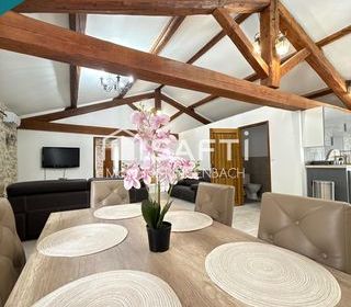  Maison � vendre 15 + pi�ces 458 m�