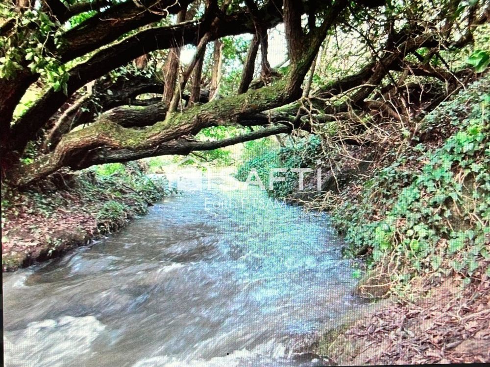 � vendre  Maison Tr�ogat (29720)