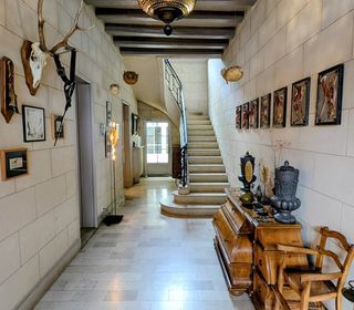  H�tel Particulier � vendre 8 pi�ces 300 m�