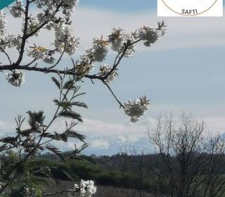  Maison � vendre 4 pi�ces 75 m�