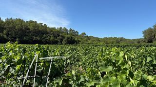  Terrain � vendre 33300 m�