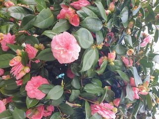  Maison � vendre 5 pi�ces 148 m�