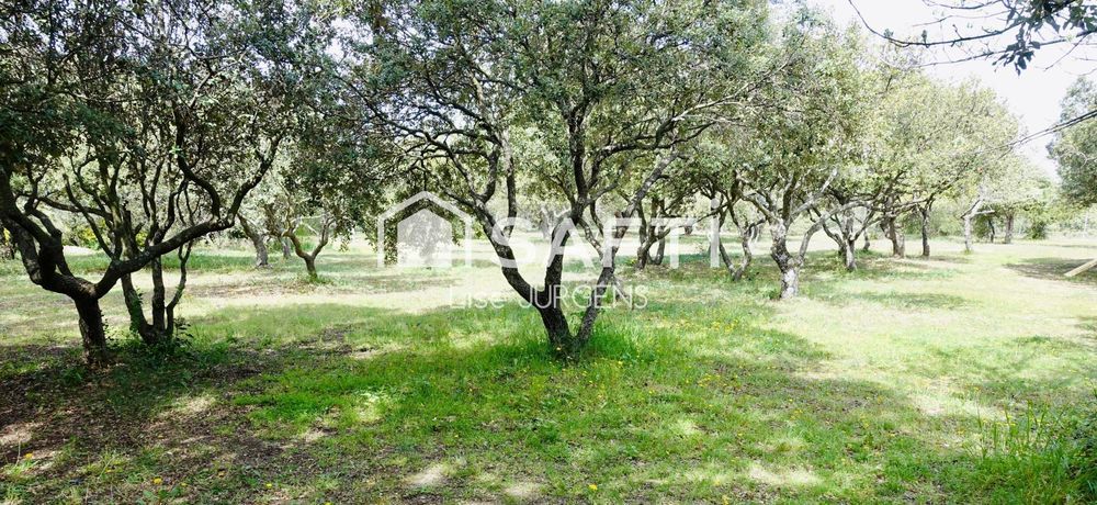 � vendre  Maison Venasque (84210)