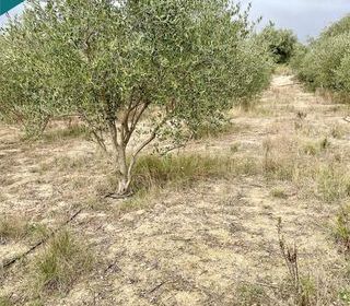  Terrain � vendre 4400 m�