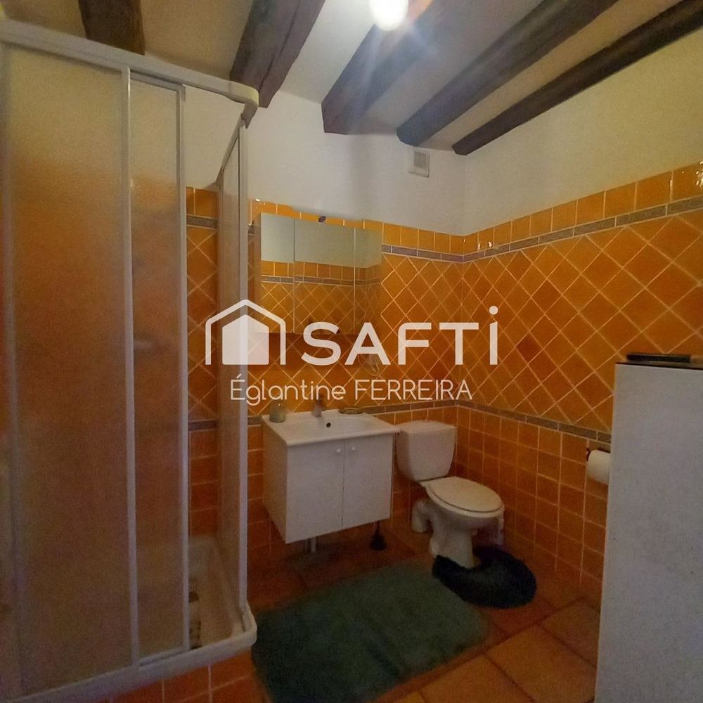 � vendre  Propri�t�/ch�teau Ch�teauroux (36000)