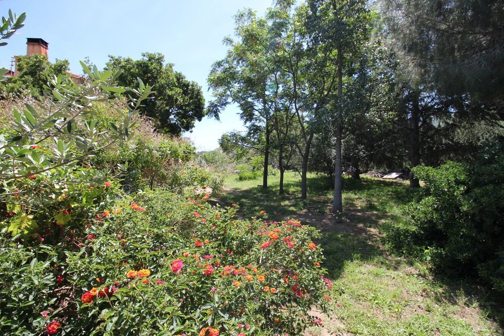 � vendre  Maison Argel�s-sur-Mer (66700)