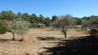  Terrain � vendre 3107 m�