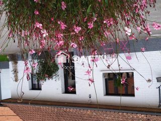  Maison � vendre 12 pi�ces 262 m�