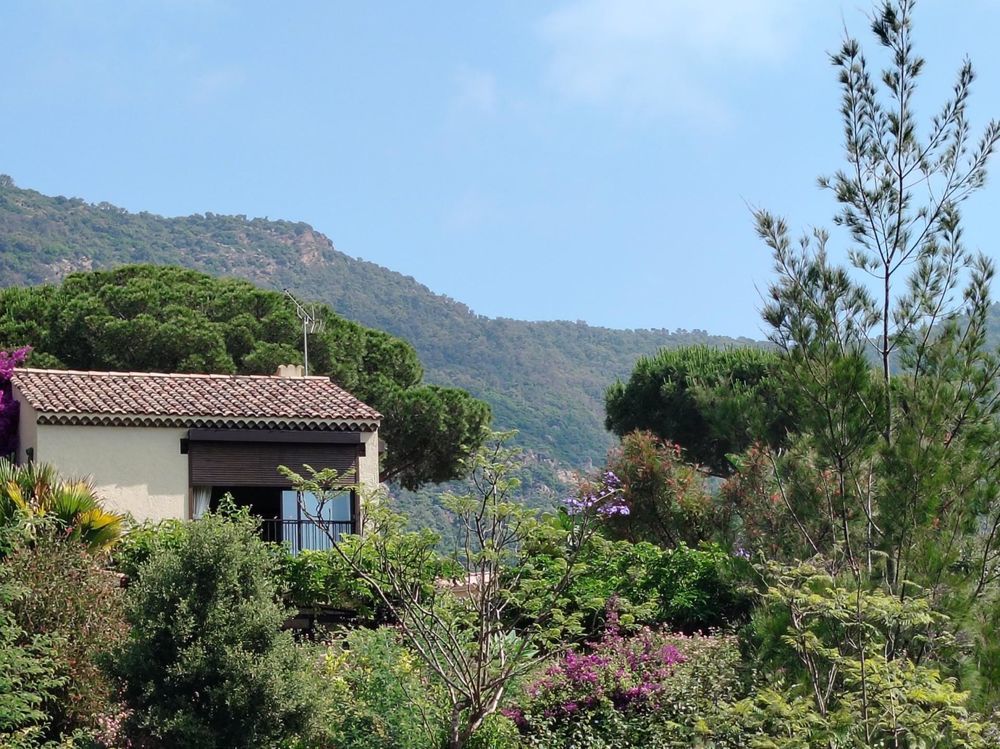� vendre  Maison Le Lavandou (83980)