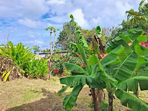   Sainte Anne - Spacieux T4 avec jardin Maison - 4 pi�ce(s) - 115 m�