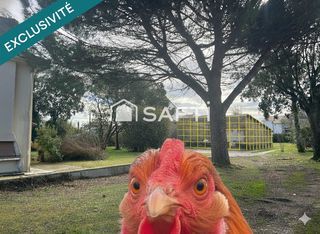  Terrain � vendre 1190 m�