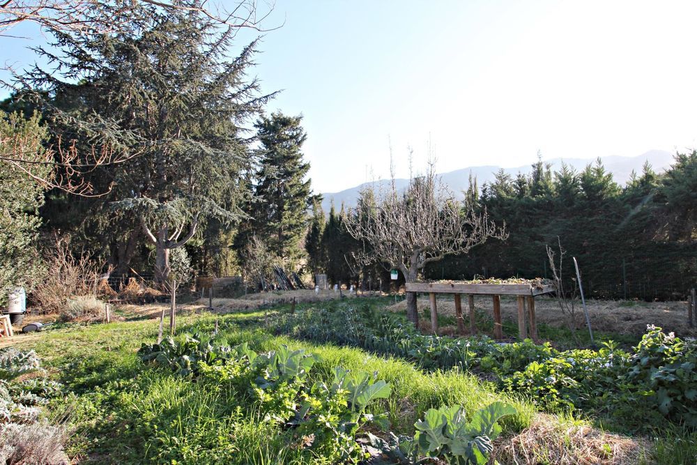 � vendre  Maison Argel�s-sur-Mer (66700)