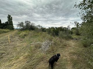  Terrain � vendre 2010 m�