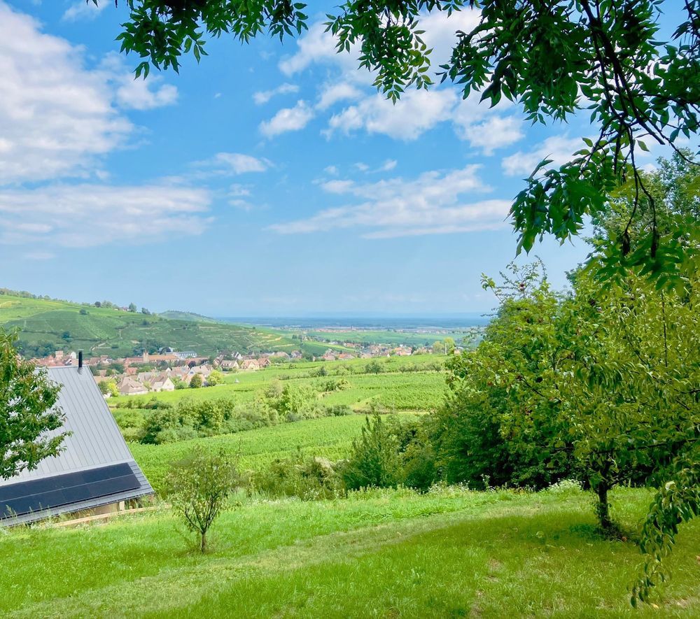 � vendre  Maison Ribeauvill� (68150)