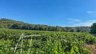  Terrain � vendre 33300 m�