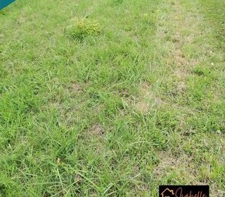  Terrain � vendre 5251 m�