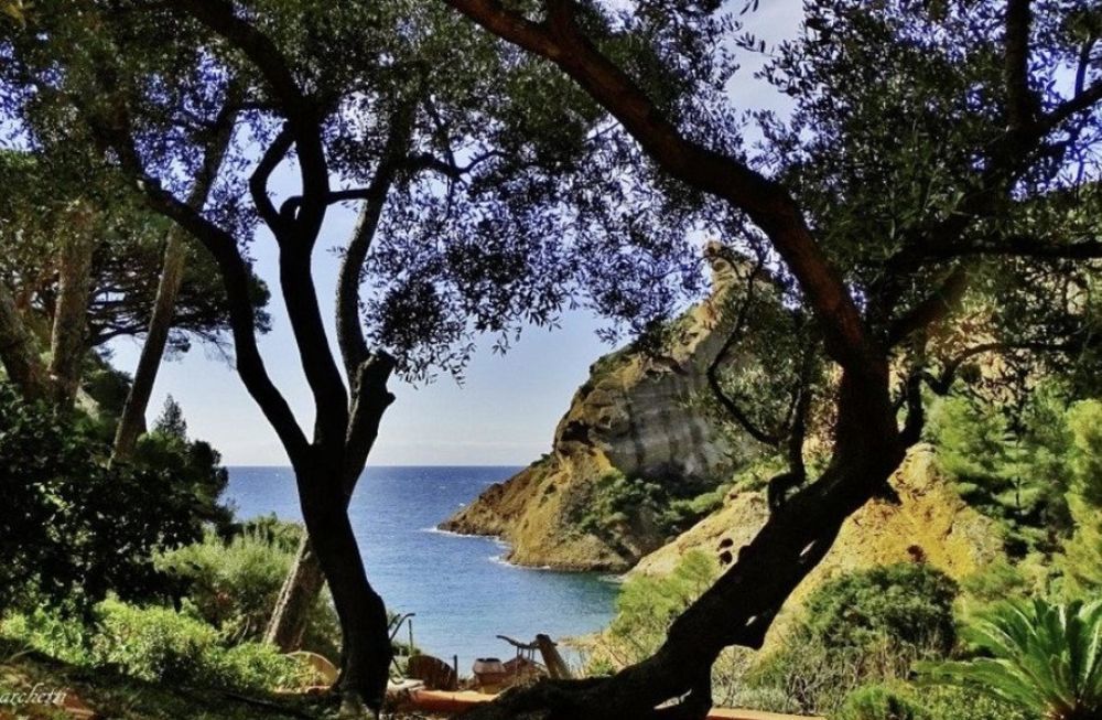 � vendre  Maison La Ciotat (13600)