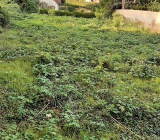  Terrain � vendre 618 m�