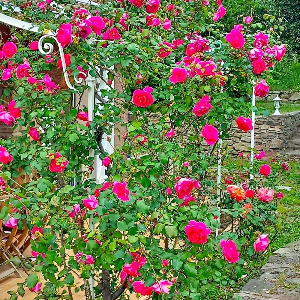 � vendre  Maison Saint-Rapha�l (83700)