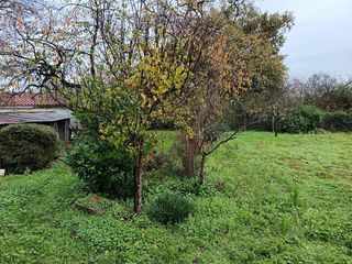  Maison � vendre 3 pi�ces 77 m�