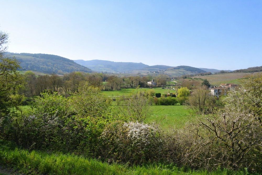 � vendre  Maison Priss� (71960)