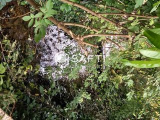  Terrain � vendre 720 m�