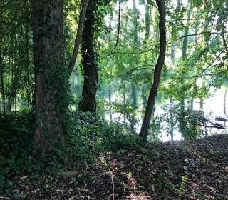  Terrain � vendre 3613 m�