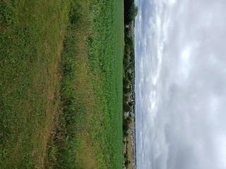  Terrain � vendre 517 m�