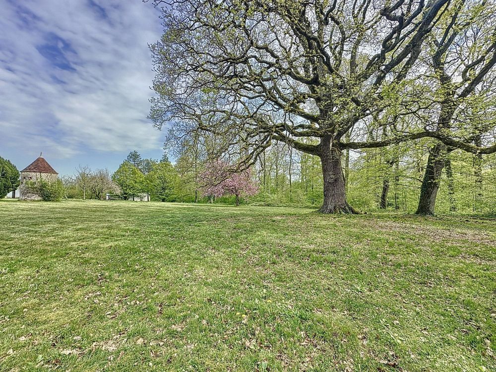 � vendre  Propri�t�/ch�teau Villeneuve-sur-Yonne (89500)