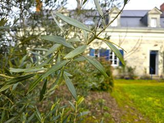  Maison � vendre 12 pi�ces 303 m�