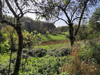  Maison � vendre 9 pi�ces 250 m�