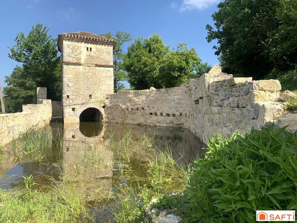 � vendre  Propri�t�/ch�teau Mauroux (32380)