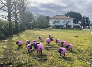  Terrain � vendre 650 m�