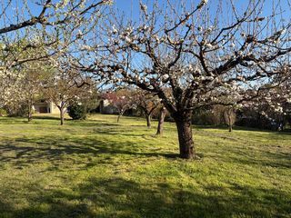  Maison � vendre 3 pi�ces 74 m�