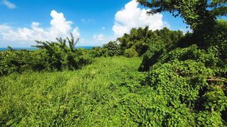  Terrain � vendre 970 m�