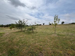  Maison � vendre 5 pi�ces 195 m�