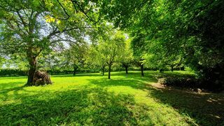  Maison � vendre 8 pi�ces 186 m�