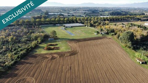 Fond de commerce avec 10 hectares de terrain , 986000 66410 Villelongue-de-la-salanque