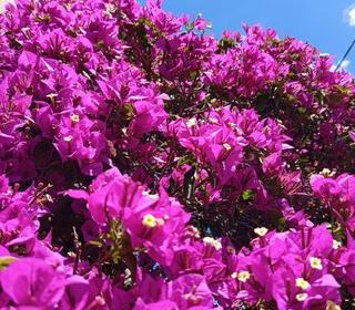  Maison � vendre 6 pi�ces 146 m�