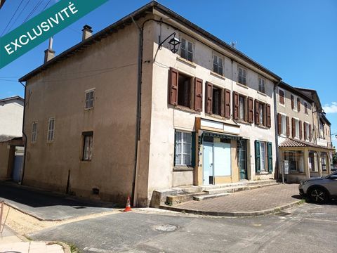   Id�alement plac�e entre Belleville et M�con, cette b�tisse des ann�e 1900  est id�ale pour cr�er plusieurs logements Maison - 13 pi�ce(s) - 198 m�
