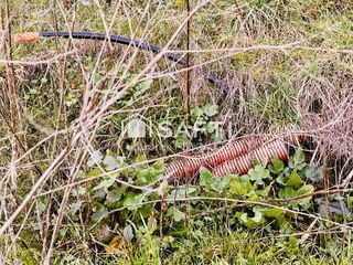  Terrain � vendre 2289 m�