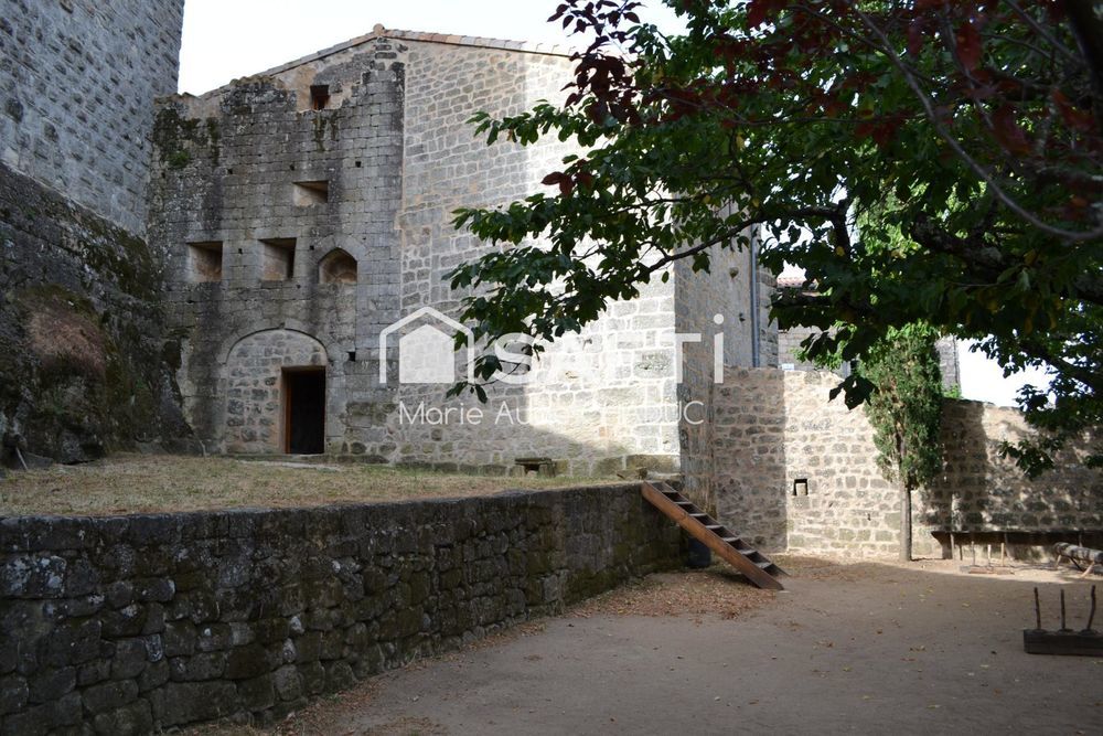 � vendre  Propri�t�/ch�teau Montr�al (07110)