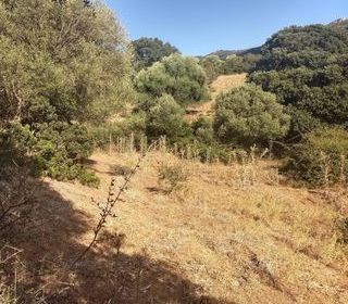  Terrain � vendre 3400 m�